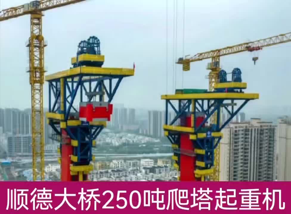 顺德大桥250吨爬塔起重机（二）
